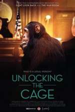 Unlocking the Cage