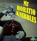 Mr. Horatio Knibbles