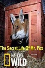 The Secret Life of Mr. Fox