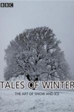 Tales of Winter: The Art of Snow and Ice