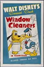 Window Cleaners