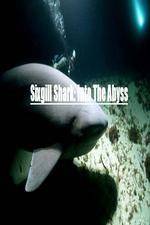 National Geographic Wild Sixgill Shark Into The Abyss