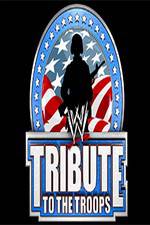 WWE Tribute to the Troops