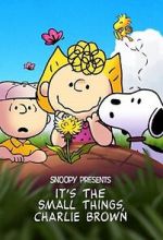 Snoopy Presents: It's the Small Things, Charlie Brown (TV Special 2022)