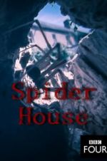 Spider House