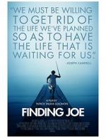 Finding Joe