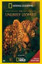 Unlikely Leopard