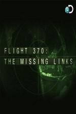 Flight 370: The Missing Links