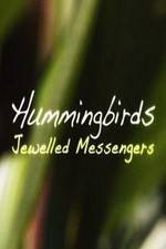 Hummingbirds Jewelled Messengers