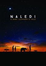 Naledi: A Baby Elephant\'s Tale