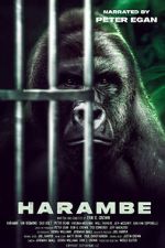 Harambe