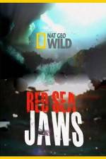 National Geographic Red Sea Jaws