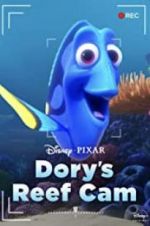 Dory\'s Reef Cam