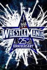 The 25th Anniversary of WrestleMania (A.K.A. WrestleMania 25 )