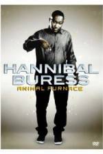 Hannibal Buress Animal Furnace