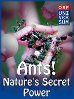 Ants: Nature\'s Secret Power