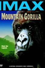 Mountain Gorilla