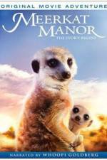 Meerkat Manor The Story Begins