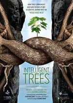 Intelligent Trees