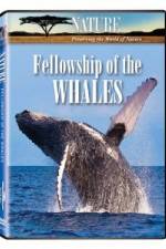 Fellowship Of The Whales