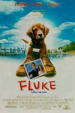 Fluke