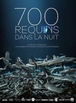 700 requins dans la nuit