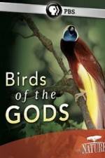 Birds Of The Gods