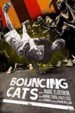 Bouncing Cats