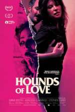 Hounds of Love