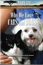 Why We Love Cats And Dogs