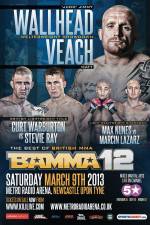 BAMMA 12: Wallhead vs Veach