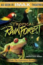 Tropical Rainforest