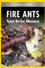 National Geographic Fire Ants: Texas Border Massacre