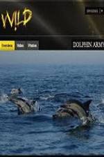 National Geographic Wild Dolphin Army