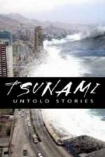 Tsunami: Untold Stories