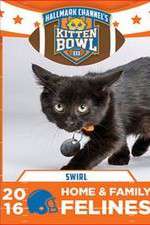 Kitten Bowl III