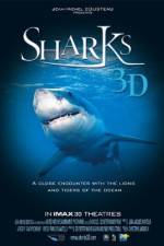 Sharks 3D