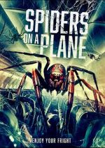 Spiders on a Plane