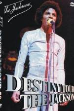 The Jacksons Destiny Tour