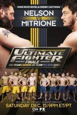 The Ultimate Fighter 16 Finale Nelson vs Mitrione