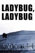 Ladybug Ladybug