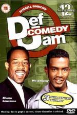 Def Comedy Jam All Stars Vol 12