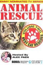 Animal Rescue, Volume 2: Best Cat Rescues