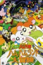 Hamtaro: Adventures in Ham-Ham Land