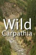 Wild Carpathia