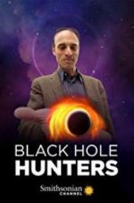 Black Hole Hunters