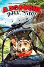 A Doggone Hollywood