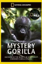 National Geographic Mystery Gorilla