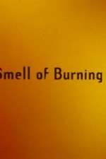 The Smell of Burning Ants