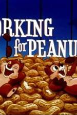 Working For Peanuts